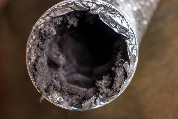 Best Air Duct Cleaning Near Me  in San Juan Pistrano, CA